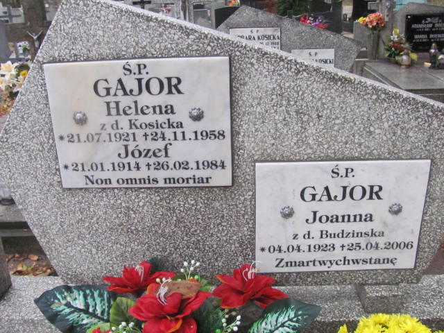  Gajor 1923 Liszkowo - Grobonet - Wyszukiwarka osób pochowanych